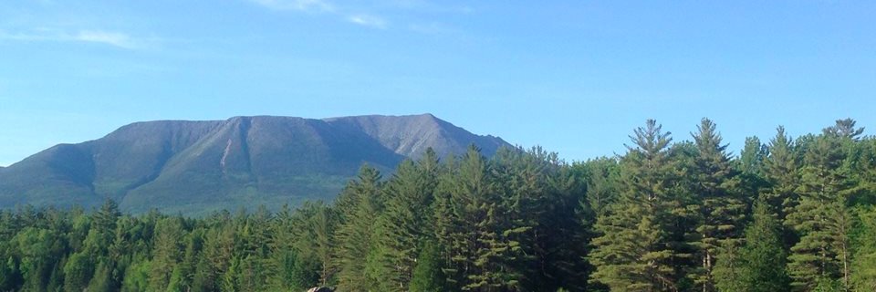 MsRedmanEnglish's profile banner image