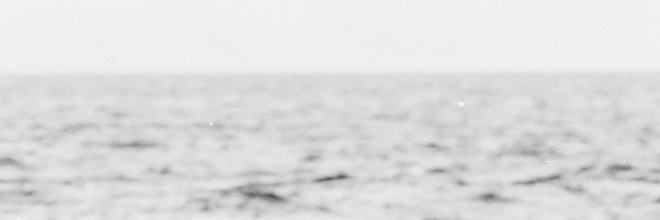 𝒟𝓊𝓀𝑒 banner