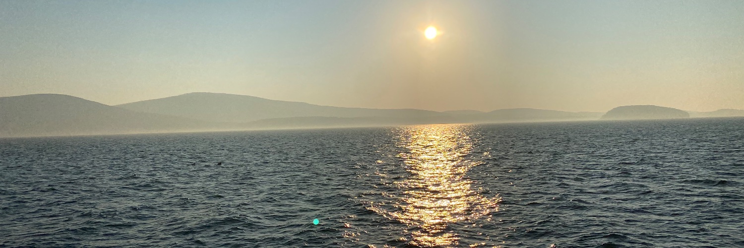 Ray Robinette banner