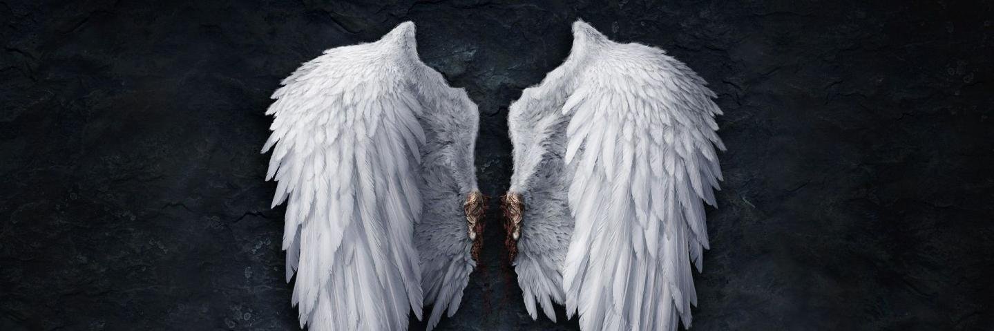 joserracursed's profile banner image