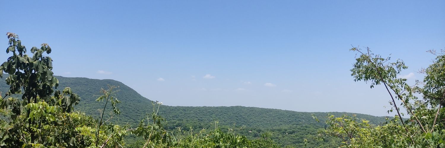 luiguiperezh's profile banner image