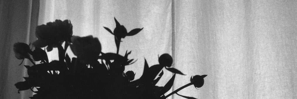 Peter J. Russo banner