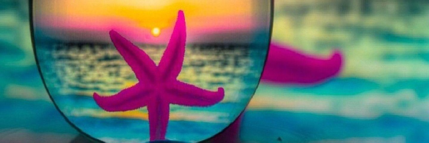 snmaydn88's profile banner image