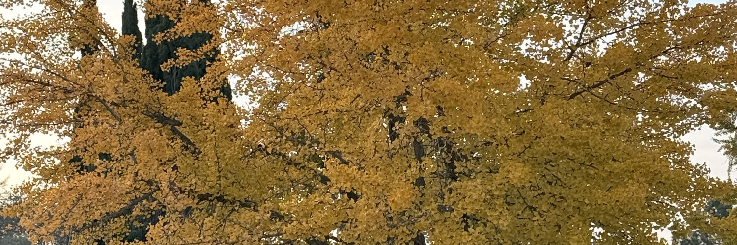 SriVen banner