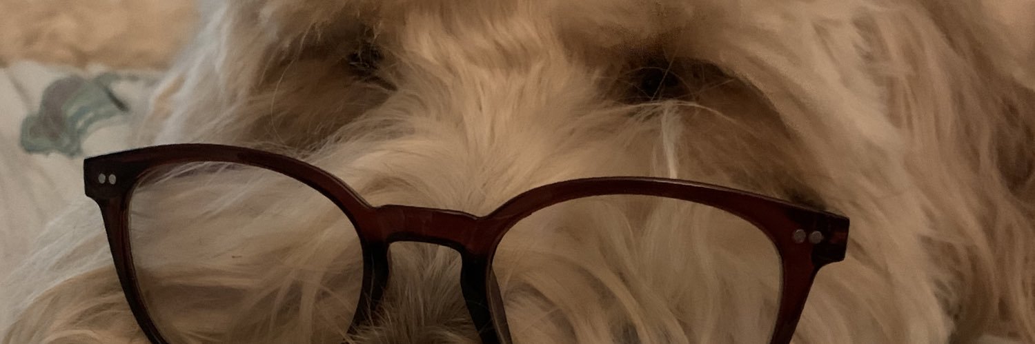 Grlynerd's profile banner image