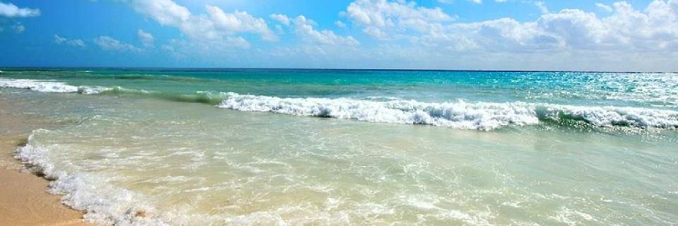 SPIBeachHouses's profile banner image