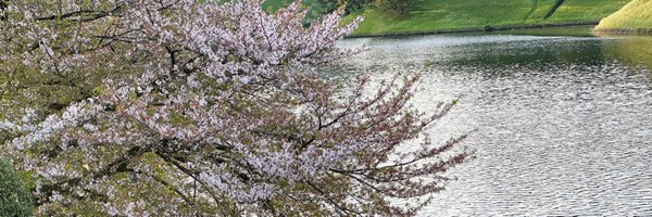 BNDSakuraaaa_y Profile Banner