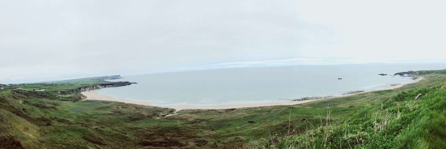 genderless_meatsuit banner