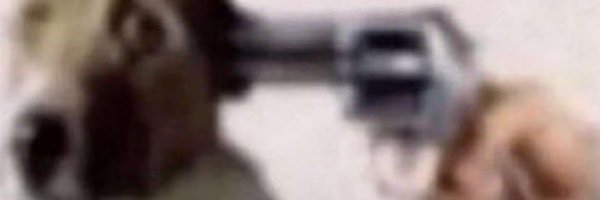 pushacon Profile Banner
