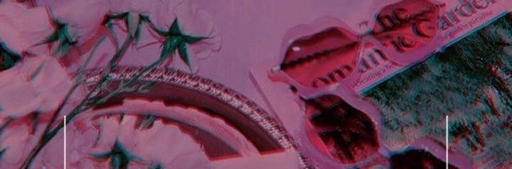 Miamor813's profile banner image