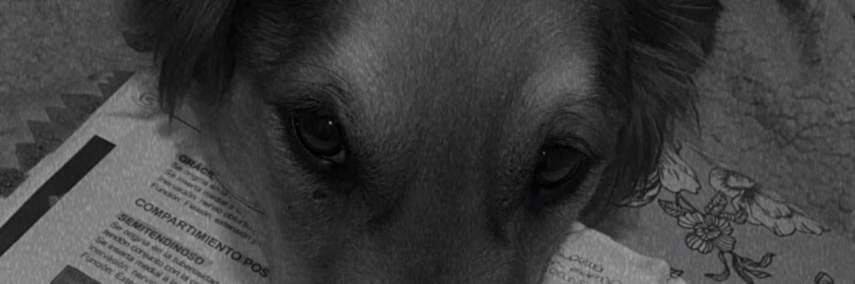 Melwagner01's profile banner image
