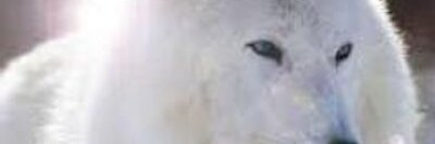 FcogermanFco's profile banner image