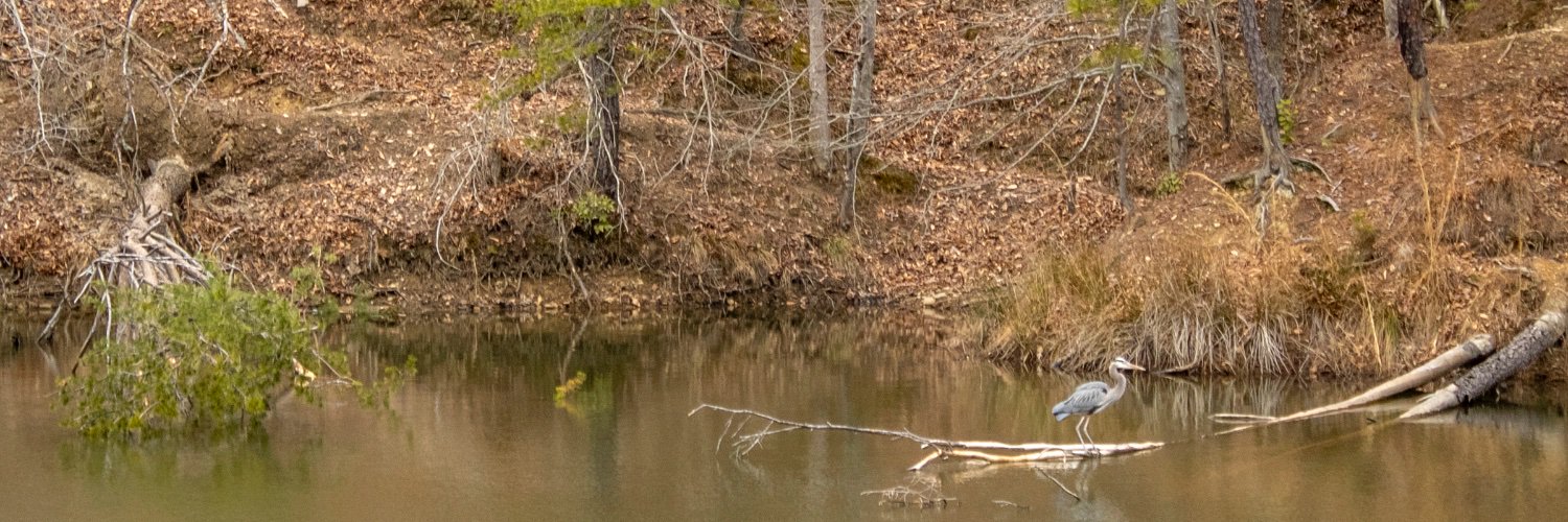 The Trail Blazer banner
