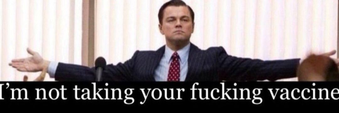 Elaine Strachan 🦉 banner