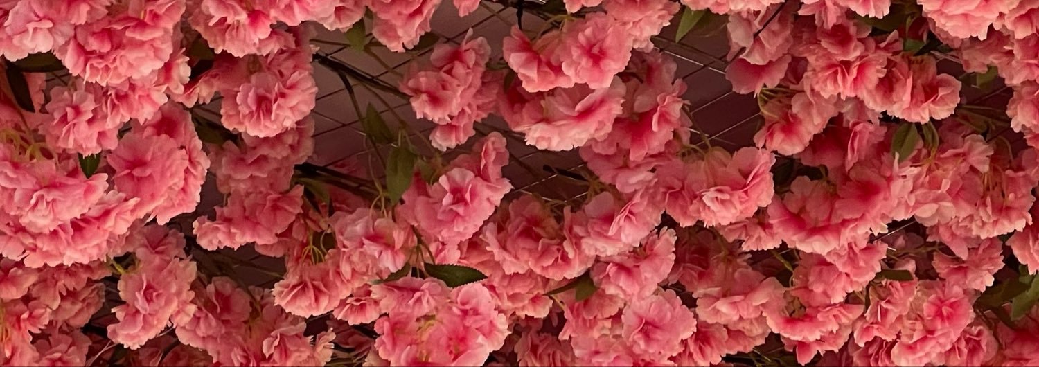 aga_oique's profile banner image