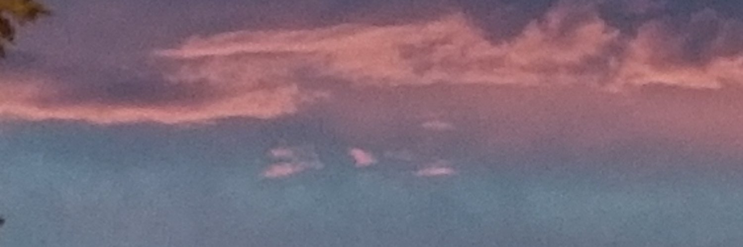 StacySwanberry's profile banner image