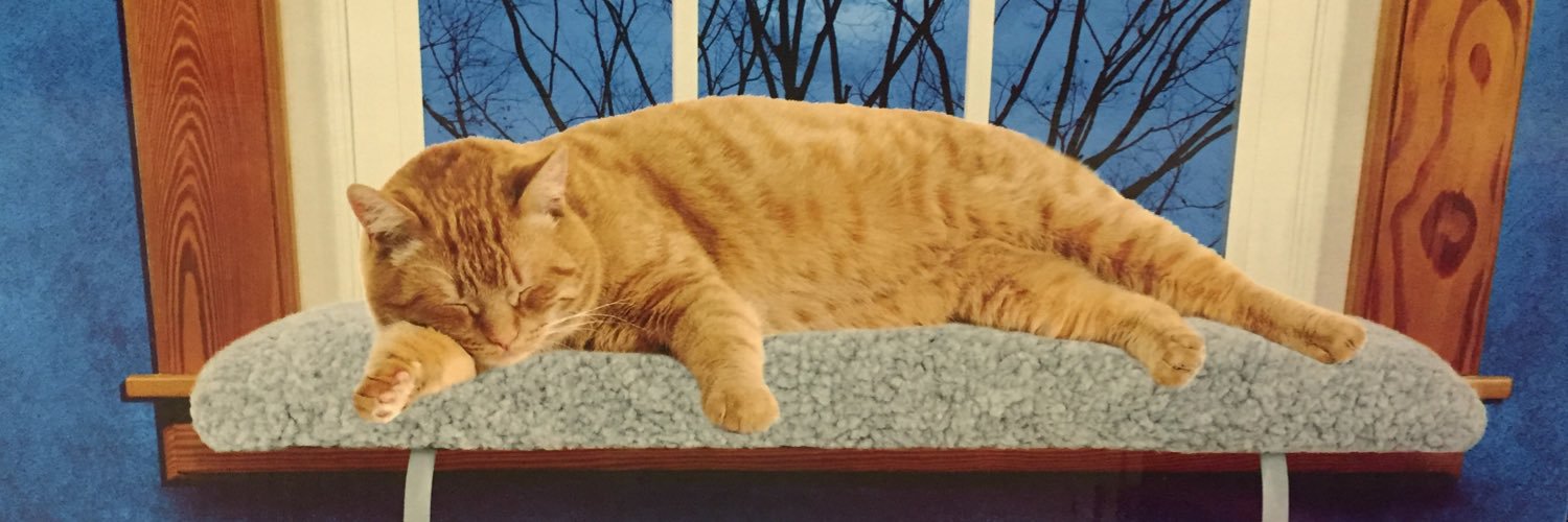 leastt's profile banner image