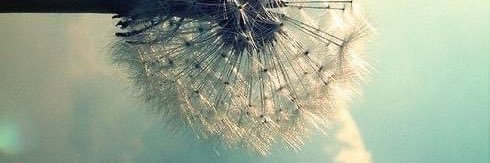 stiwum's profile banner image