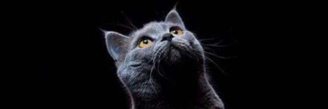 MeGaLo96's profile banner image