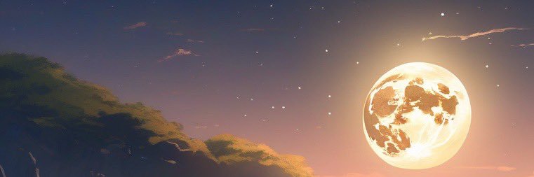 MoonWhale123's profile banner image