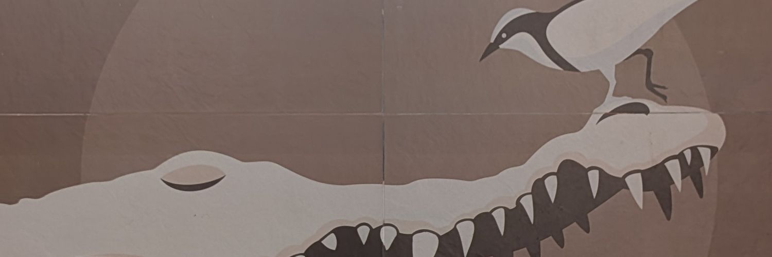 SpadgingtonBear's profile banner image