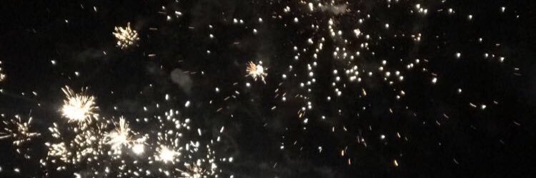 sarablees's profile banner image