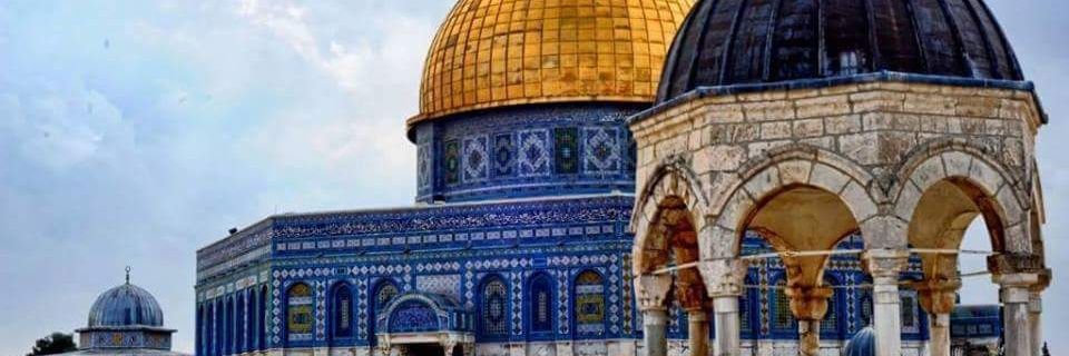 مُـنـِيب banner