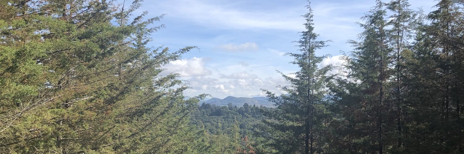 JaqueArPa's profile banner image