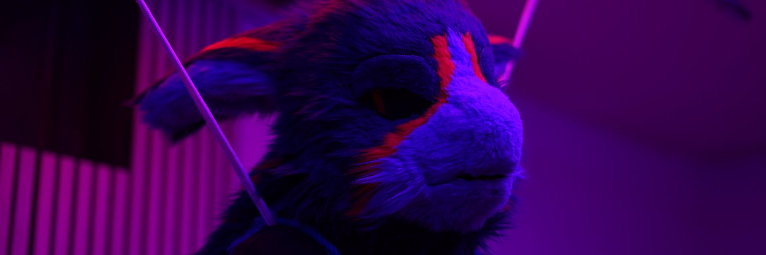 Solwer AD🇵🇱 banner