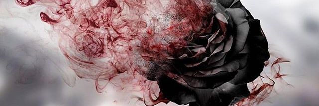 ειя banner