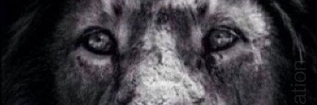 Charlie Bradley banner