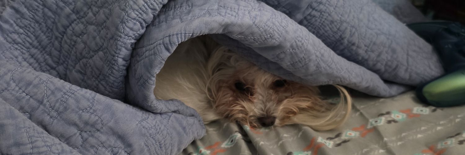 BadKarma/0.00223 banner