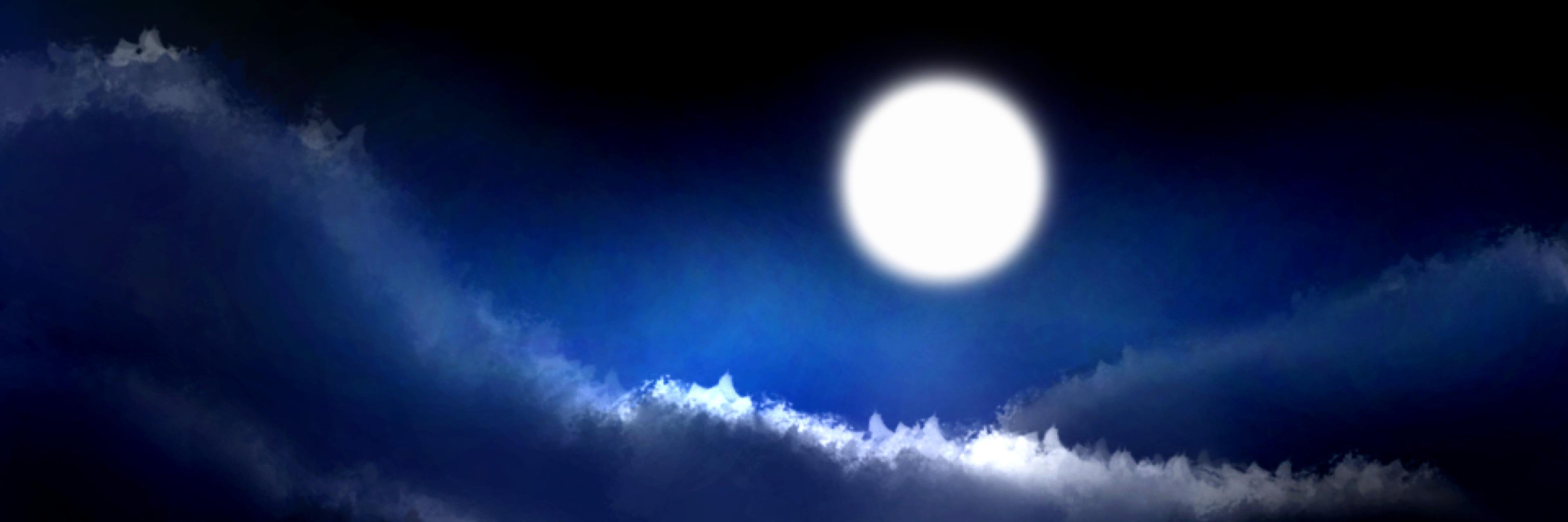 PoliceWolf's profile banner image