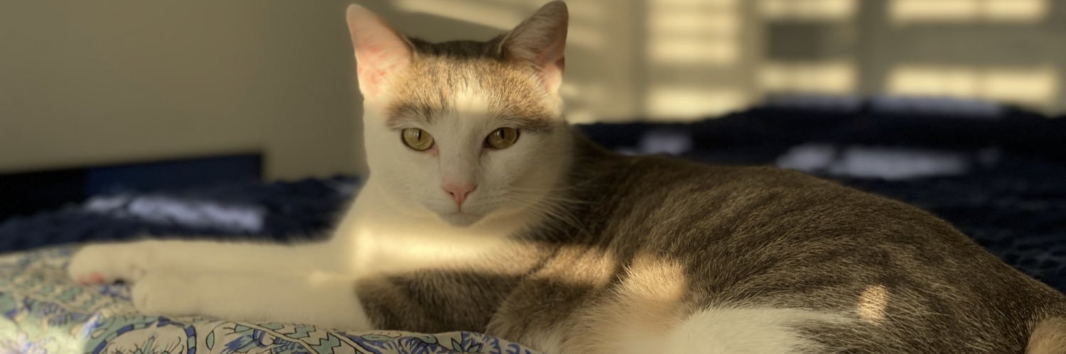 grace_calhoun_'s profile banner image
