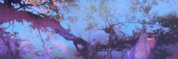 𝐒 banner