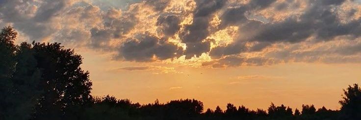 cognishka's profile banner image