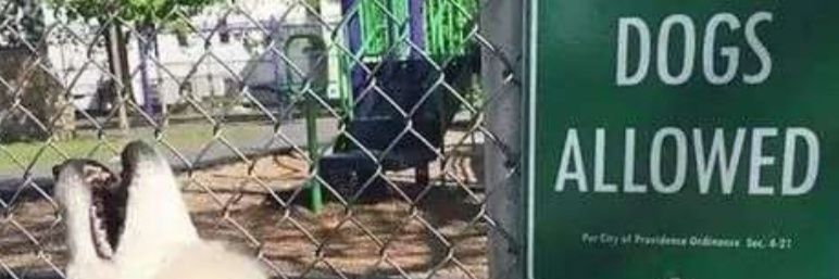 Wolf'oTheDegenn'o banner