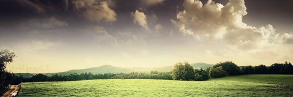 mrsabrabbit Profile Banner