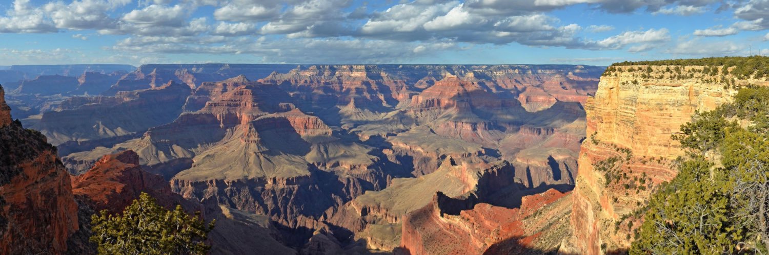 Gail 🌵💙 banner