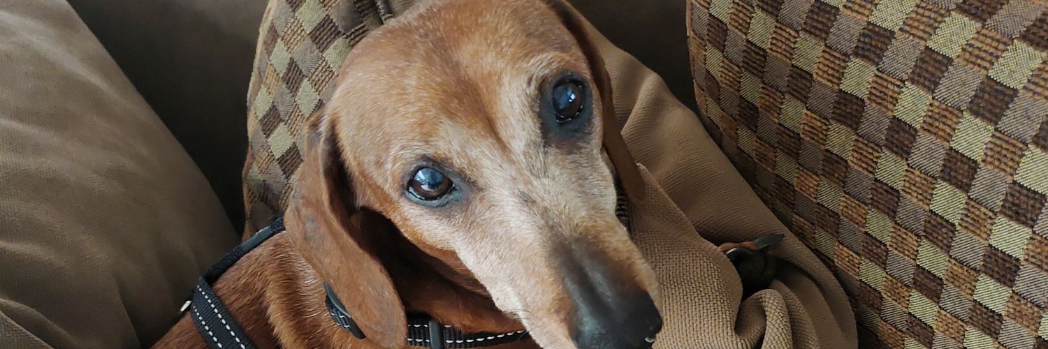 Christoffel Van Zyl banner