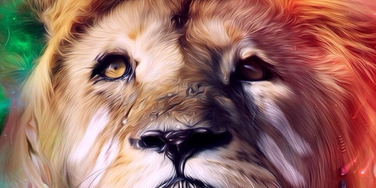 swankyshaad's profile banner image