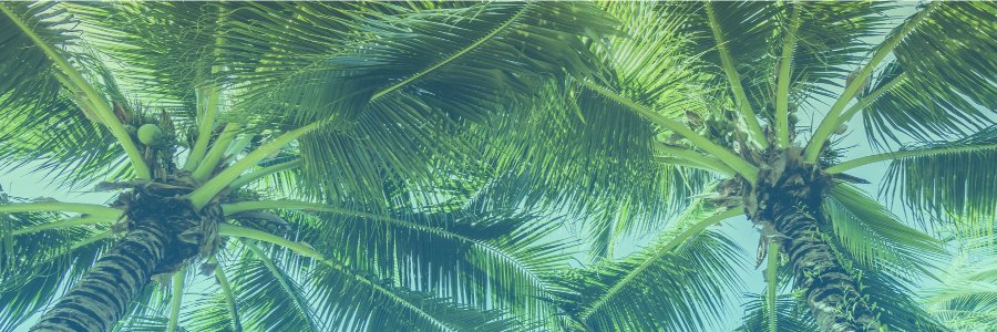 paraisodesign's profile banner image