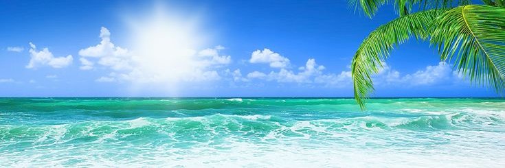 🌸ℋ𝒜𝒩𝒜𝒩🌸's banner