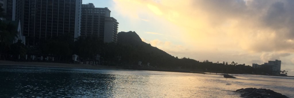 muttgut's profile banner image