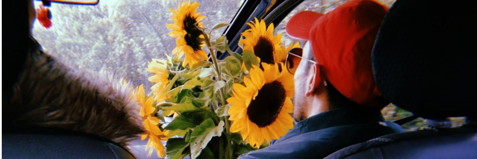 nataarodriguez's profile banner image