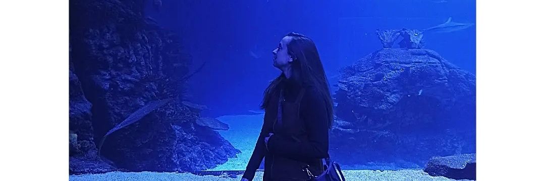 larabello96's profile banner image