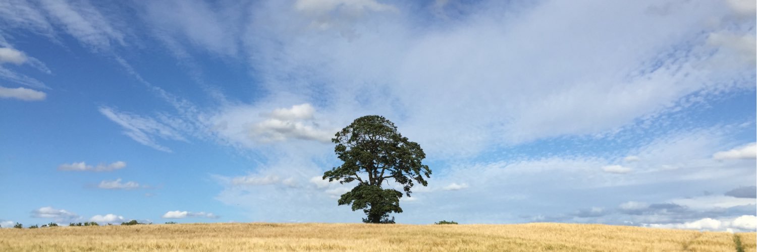 _Ge_off's profile banner image