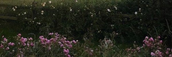 PuffyCumulus Profile Banner