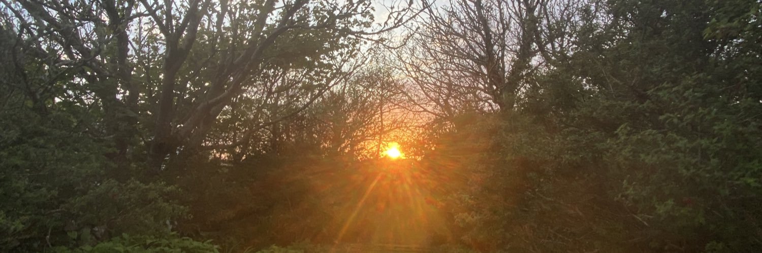 cliobreathnach's profile banner image