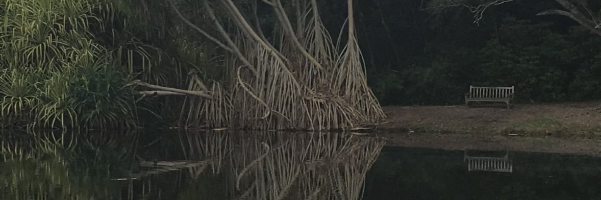 bkmoore777's profile banner image